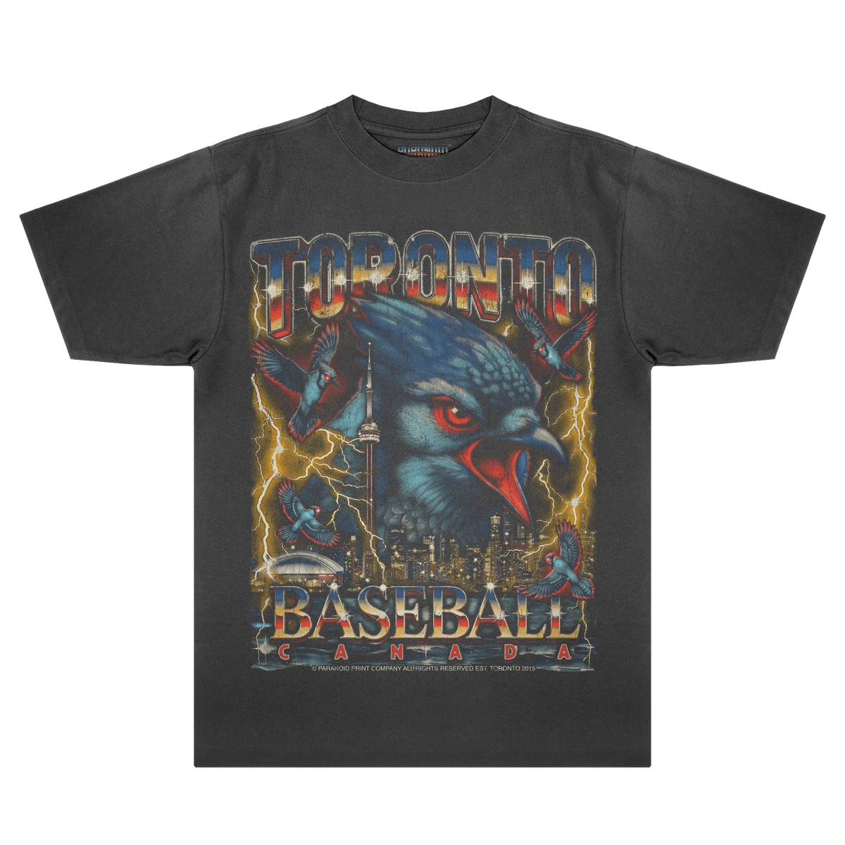 TORONTO BASEBALL PREMIUM T-SHIRT (Vintage Black)